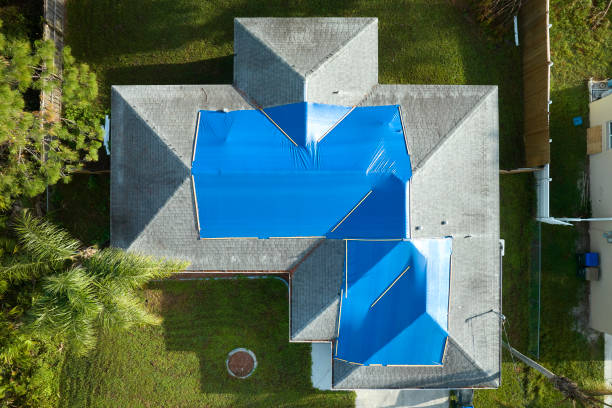 Best Asphalt Shingle Roofing  in Painesville, OH