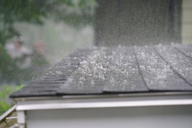 Best Hot Roofs  in Painesville, OH