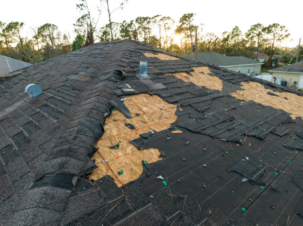 Best Metal Roofing Installation  in Painesville, OH