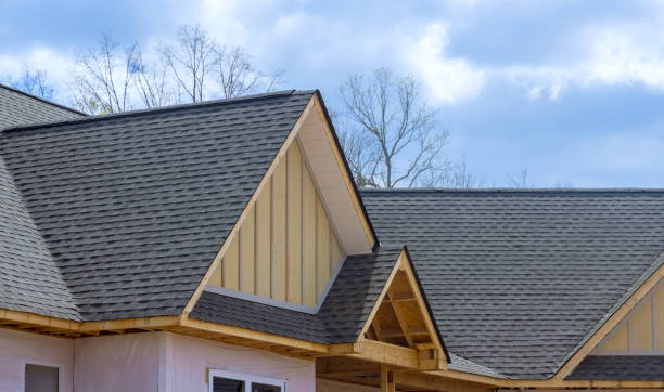 Best Rubber Roofing (EPDM, TPO)  in Painesville, OH