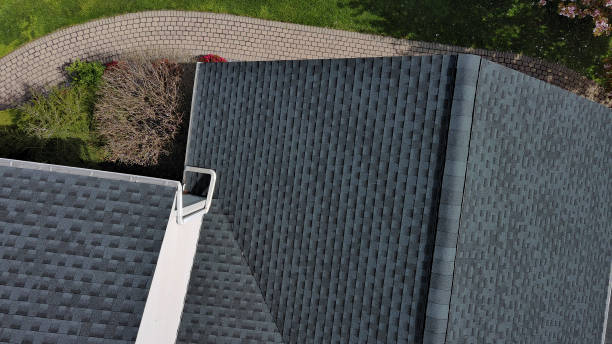 Best Roof Leak Repair  in Painesville, OH