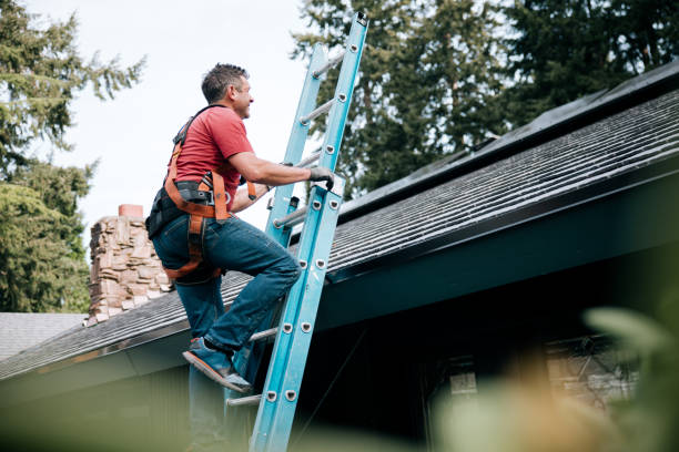 Best Rubber Roofing (EPDM, TPO)  in Painesville, OH