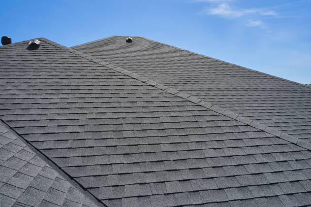 Best Flat Roofing  in Painesville, OH