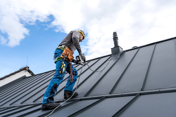 Best Chimney Flashing Repair  in Painesville, OH